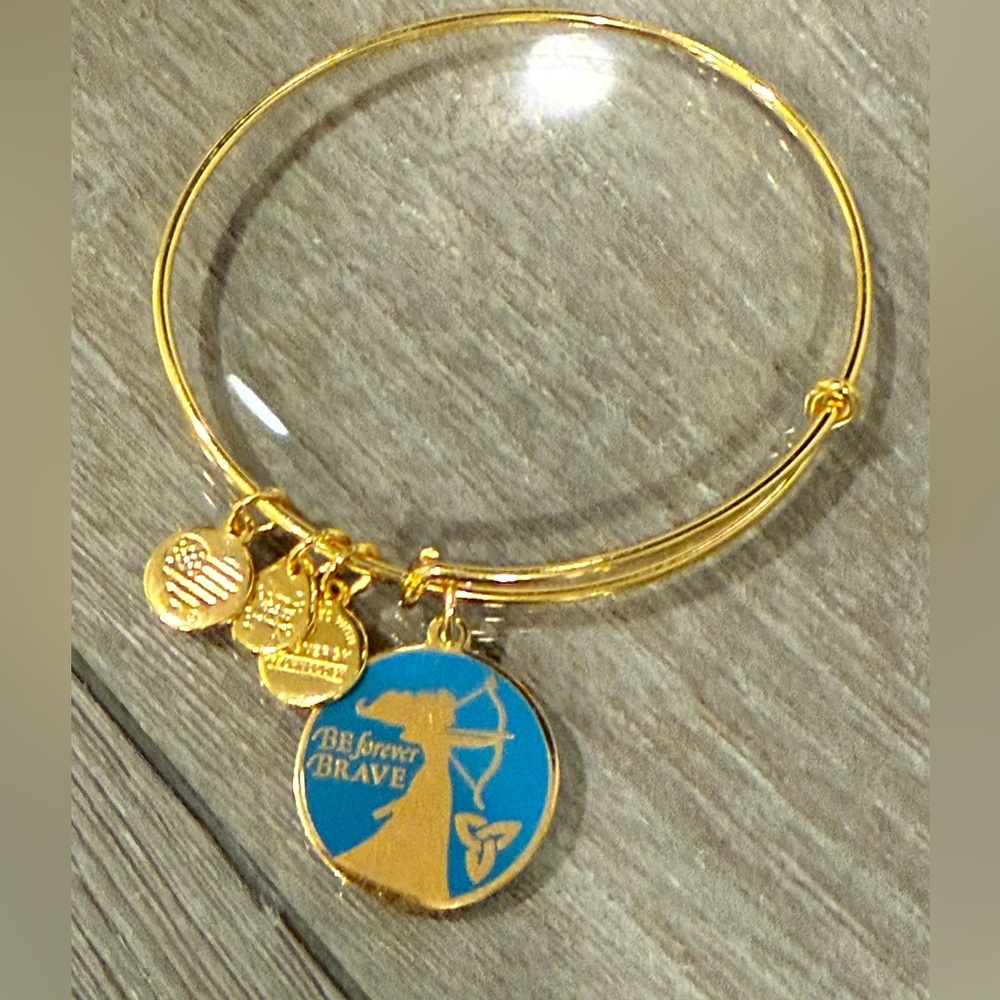 Disney Alex & Ani Merida Brave Bangle Bracelet
